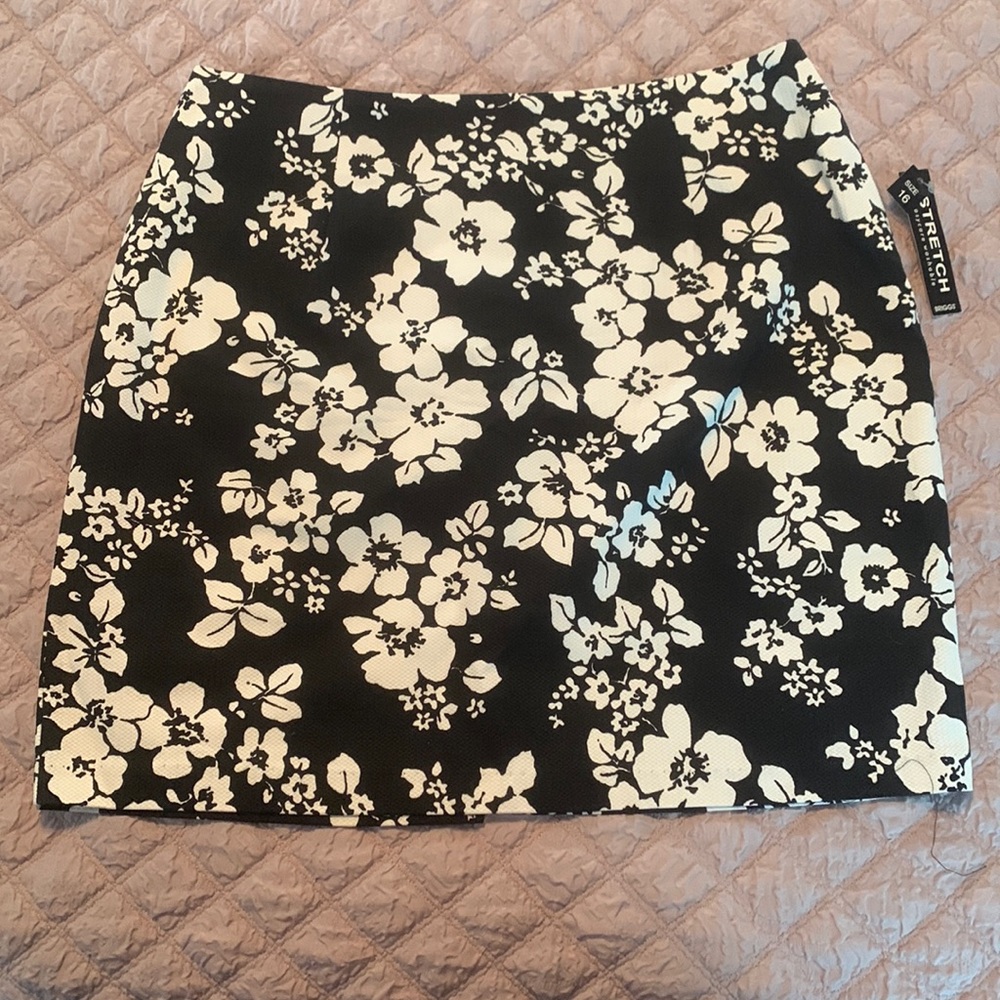 NWT Briggs skirt